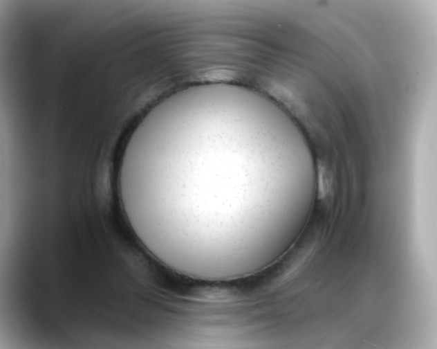 X0000088440300200706051253
