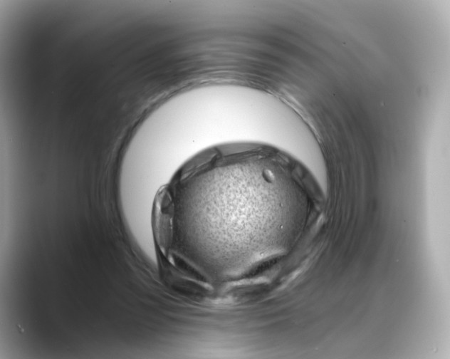 X0000088440301200706051253