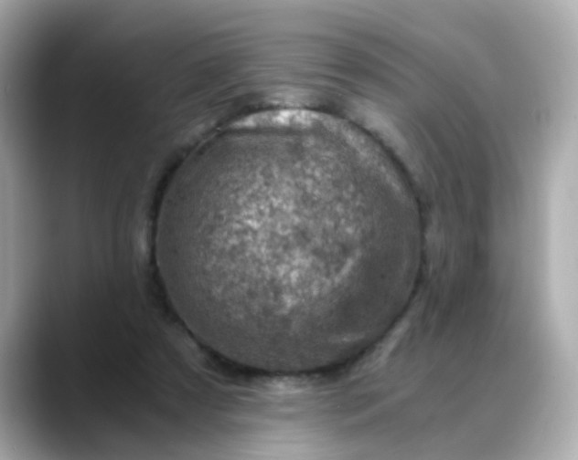 X0000088440305200706051253