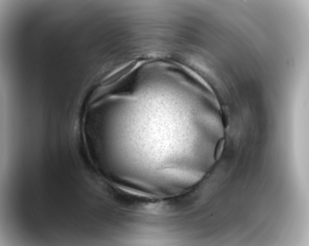 X0000088440306200706051253
