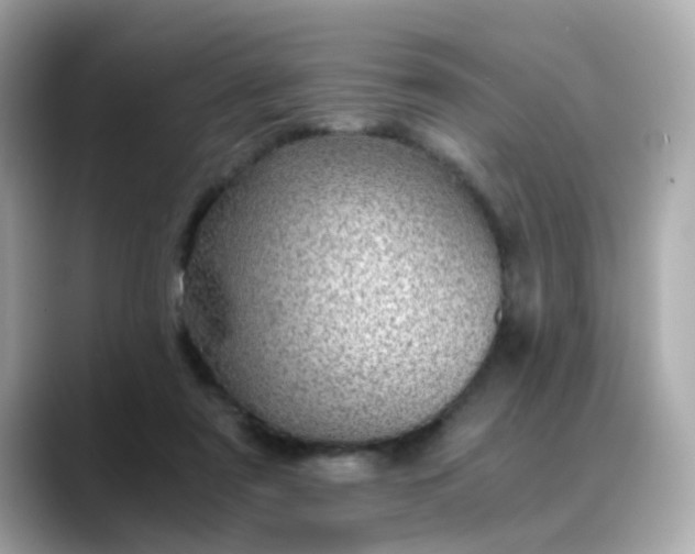 X0000088440307200706051253