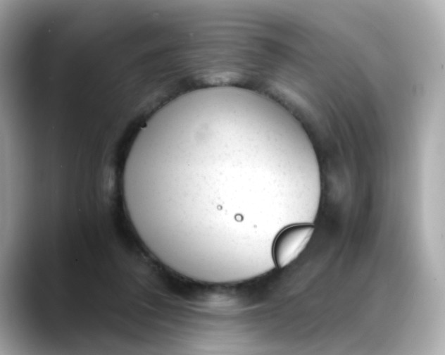 X0000088440308200706051253