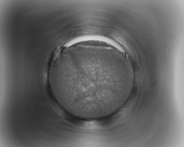 X0000088440309200706051253