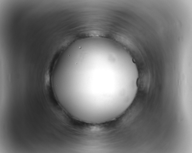 X0000088440310200706051253