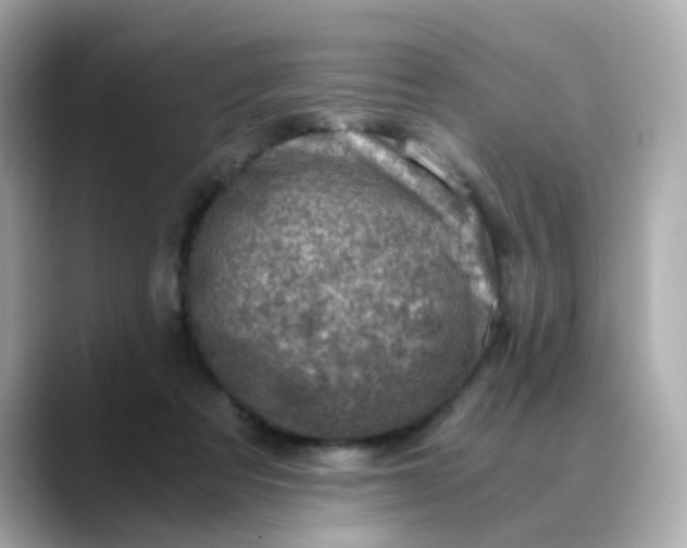 X0000088440313200706051253