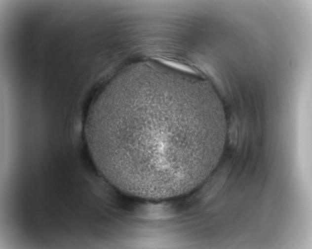 X0000088440314200706051253