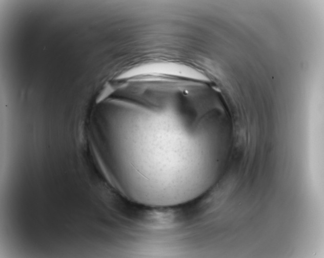 X0000088440317200706051253