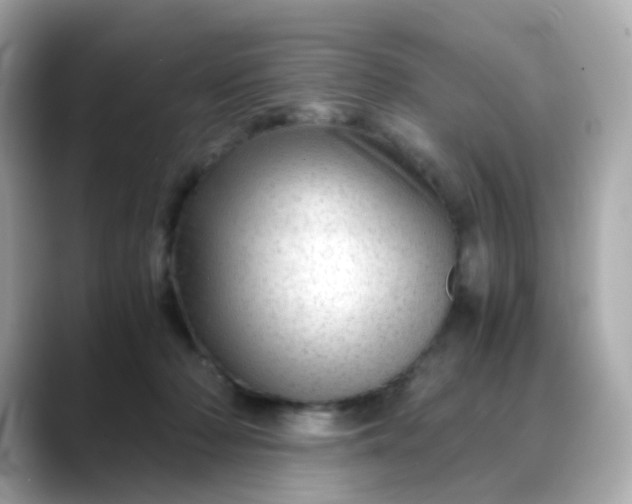 X0000088440318200706051253