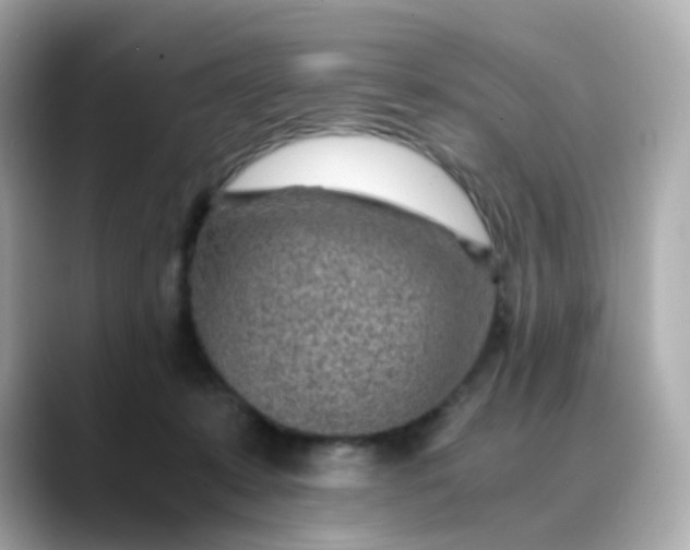 X0000088440319200706051253