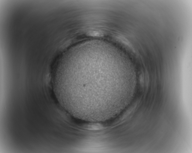 X0000088440322200706051253