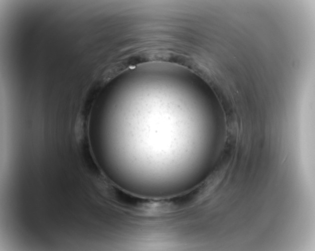 X0000088440323200706051253