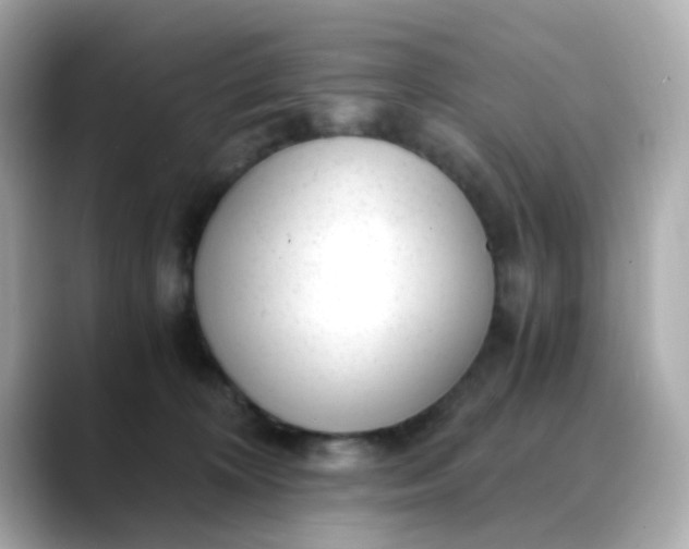 X0000088440324200706051253