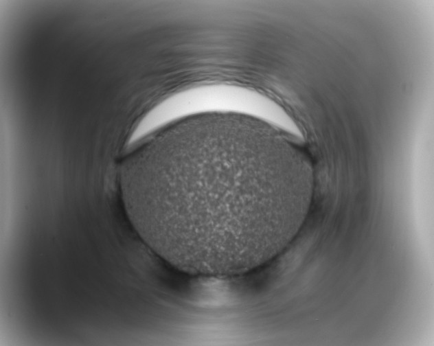 X0000088440325200706051253