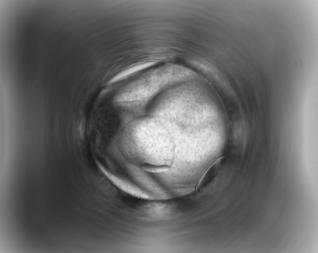 X0000088440326200706051253