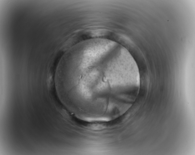 X0000088440327200706051253