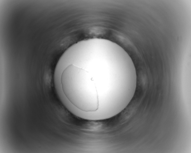 X0000088440328200706051253
