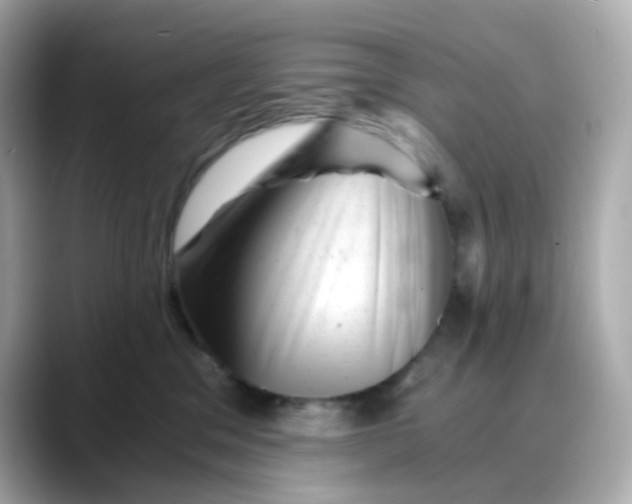 X0000088440329200706051252