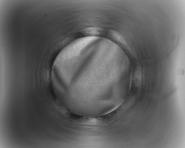 X0000088440330200706051252