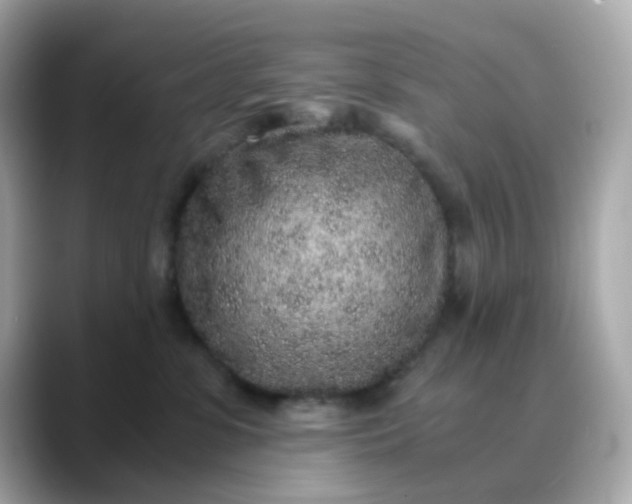 X0000088440331200706051252