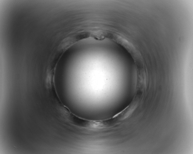 X0000088440333200706051252