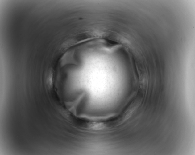 X0000088440334200706051252