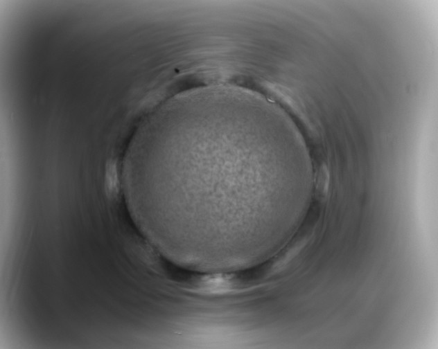 X0000088440335200706051252