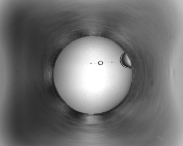 X0000088440336200706051252