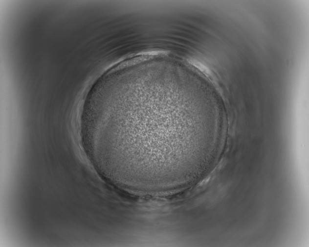 X0000088440337200706051252