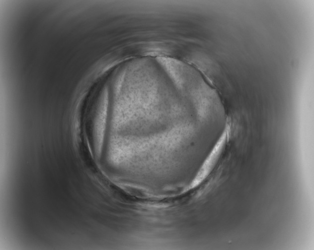 X0000088440339200706051252