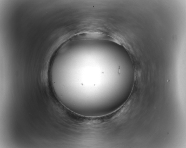 X0000088440340200706051252