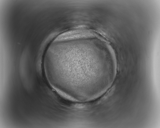 X0000088440341200706051252