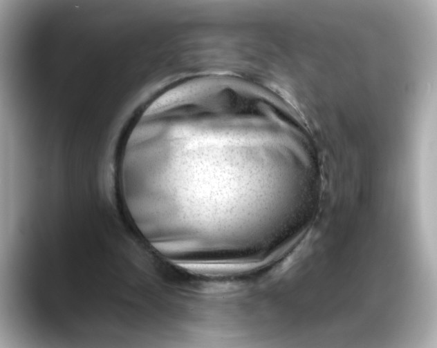 X0000088440342200706051252