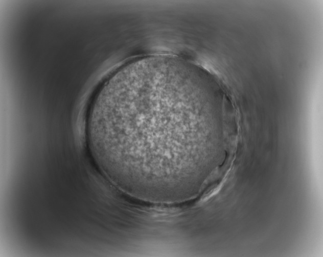X0000088440343200706051252