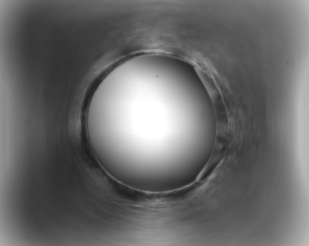 X0000088440344200706051252
