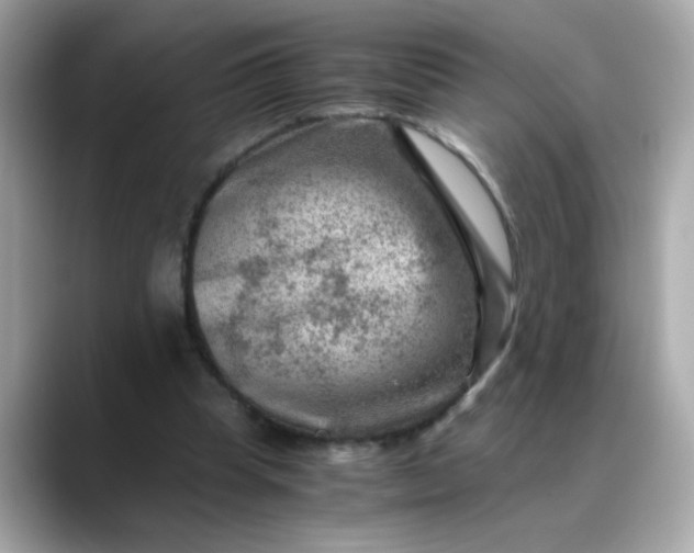X0000088440345200706051252