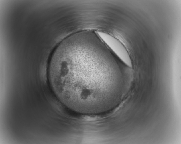 X0000088440346200706051252