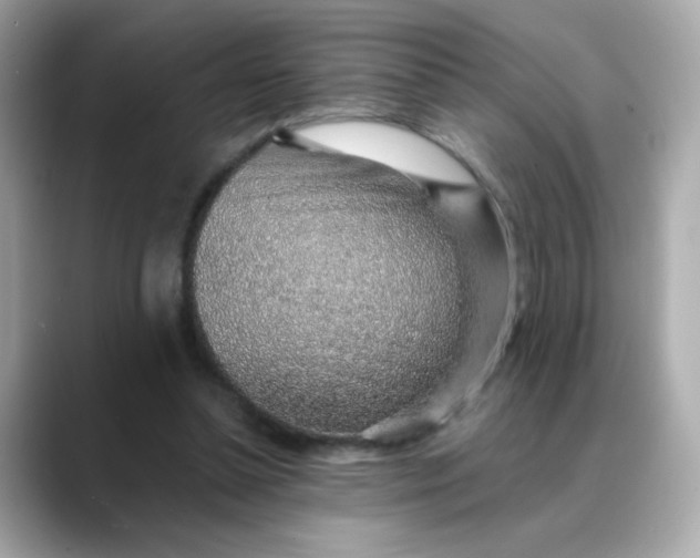 X0000088440348200706051252