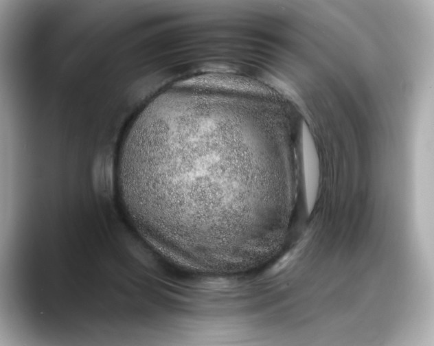 X0000088440349200706051252