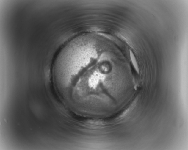 X0000088440351200706051252