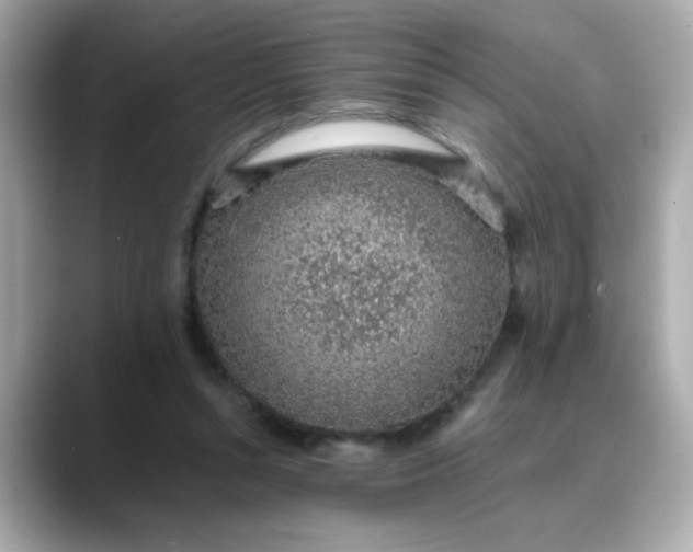 X0000088440352200706051252