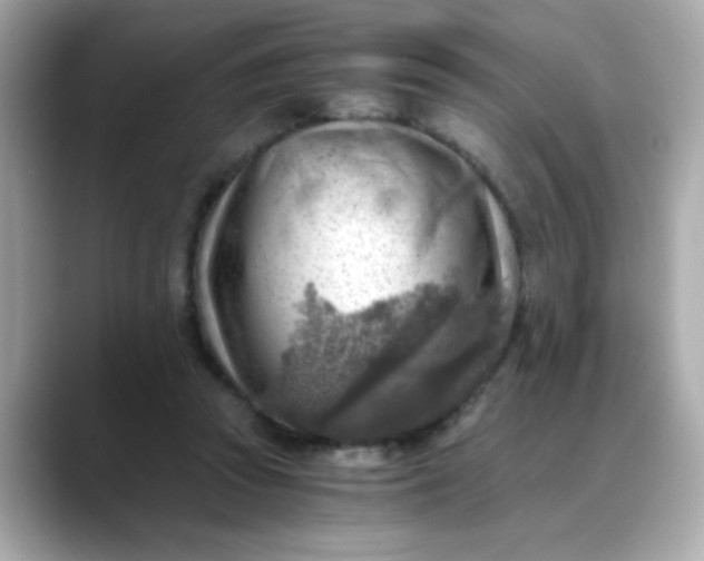 X0000088440353200706051252