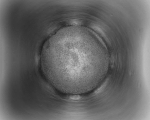 X0000088440355200706051252
