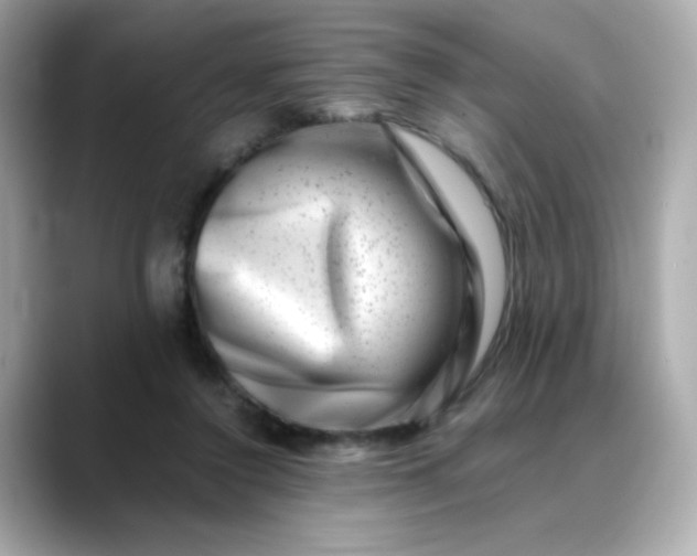 X0000088440356200706051252