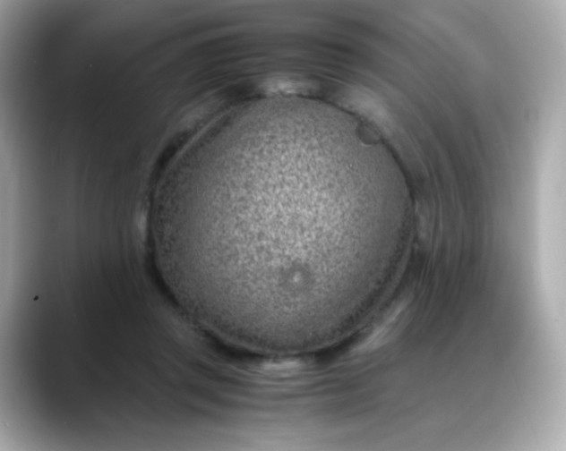 X0000088440357200706051252
