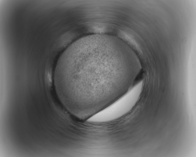 X0000088440358200706051252