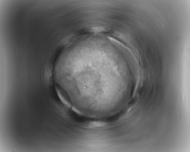 X0000088440360200706051252