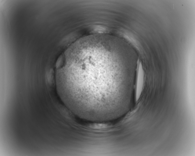 X0000088440361200706051252