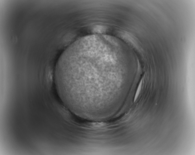 X0000088440363200706051252