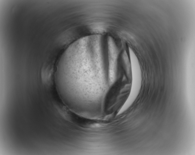 X0000088440364200706051252