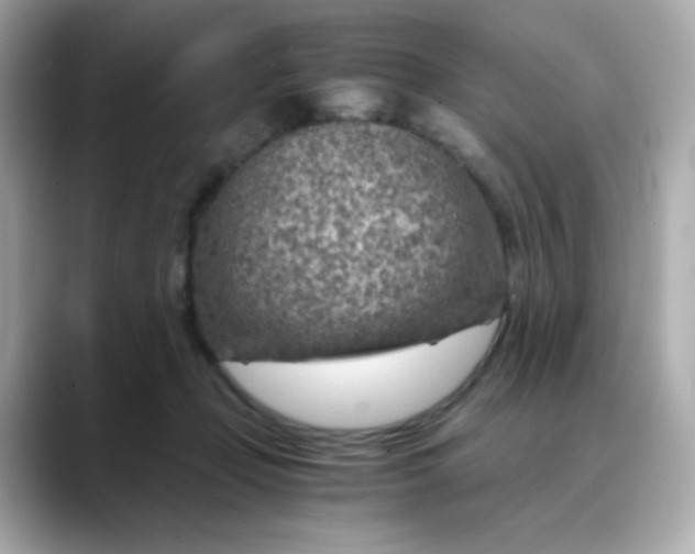 X0000088440365200706051252